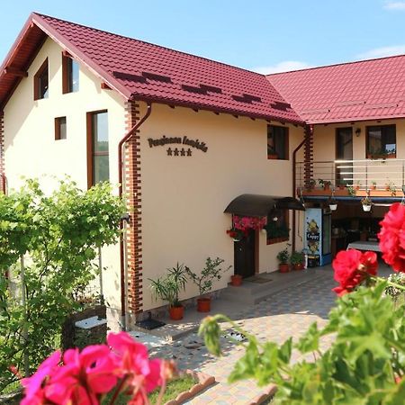 Pensiunea Luminita Mustatesti Exterior foto