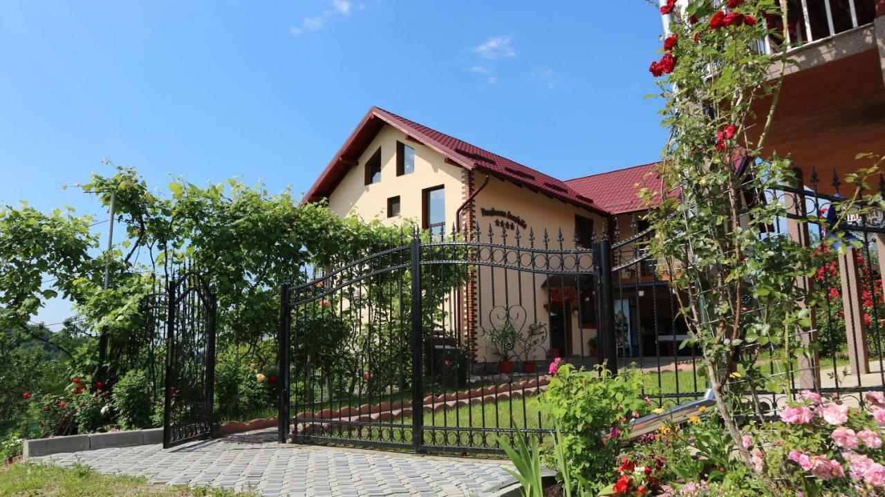 Pensiunea Luminita Mustatesti Exterior foto