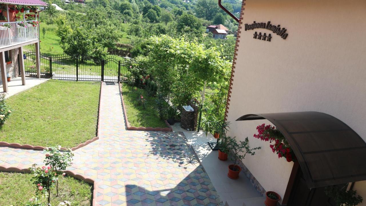 Pensiunea Luminita Mustatesti Exterior foto