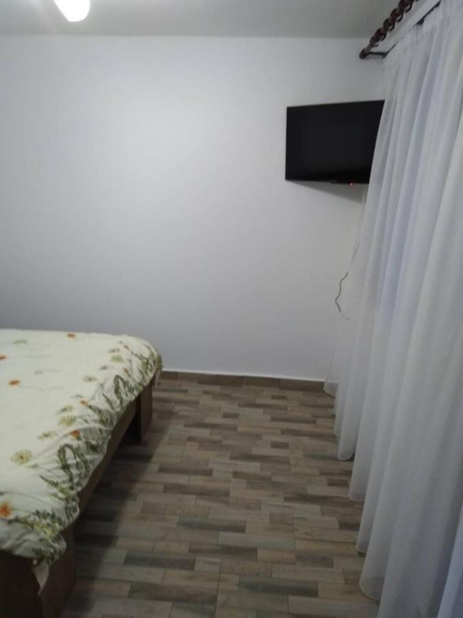 Pensiunea Luminita Mustatesti Exterior foto